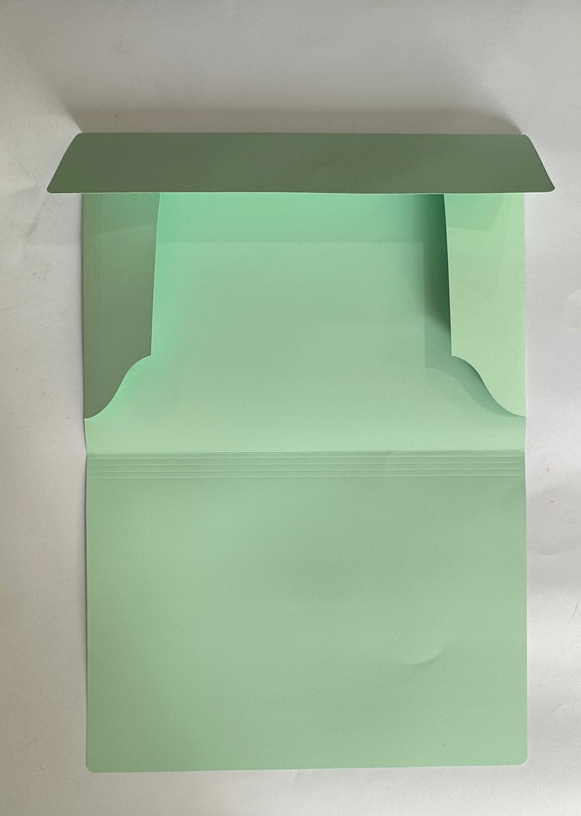 Flap File Bristol 240g