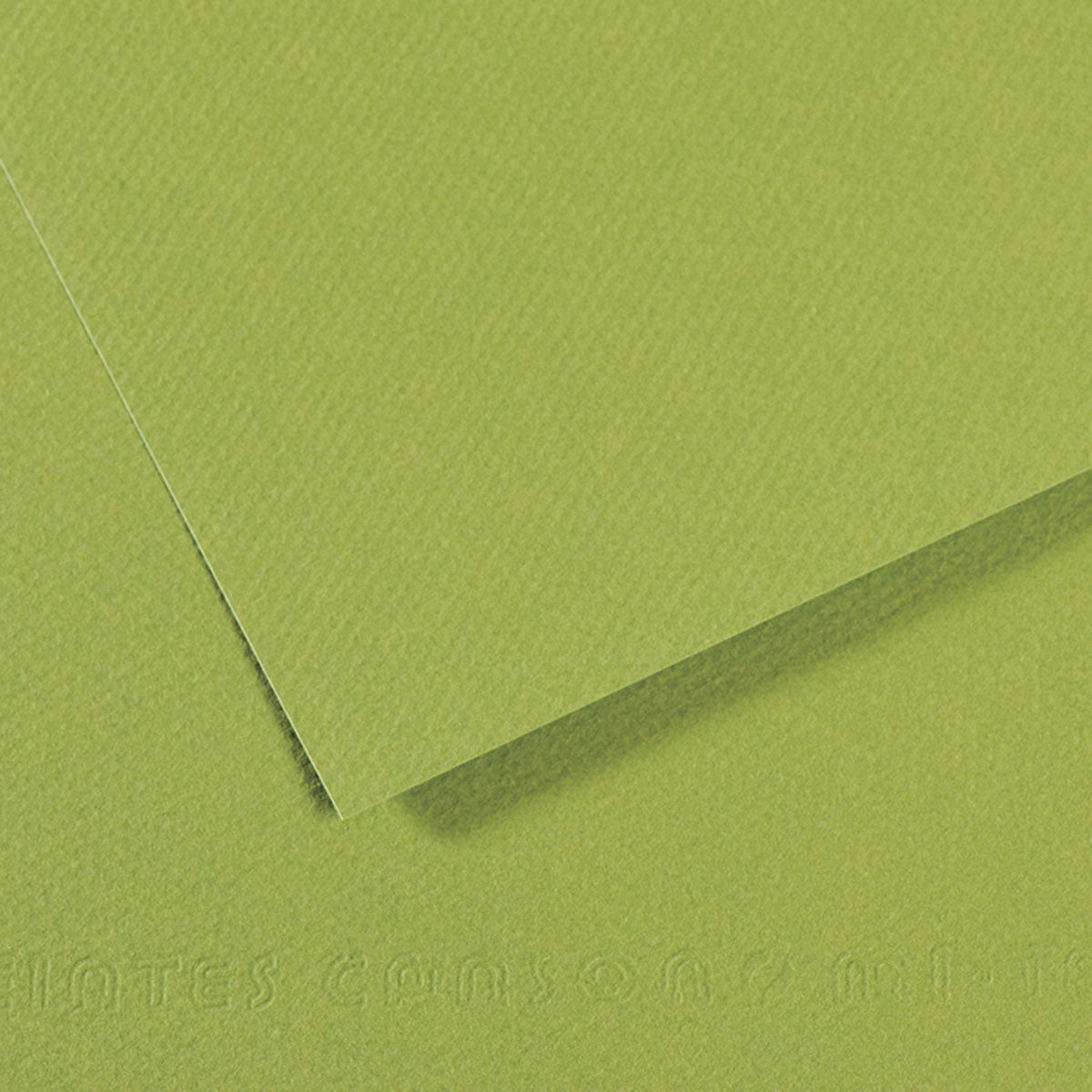 Canson Cardboard - 50x70, Olive Green, 728