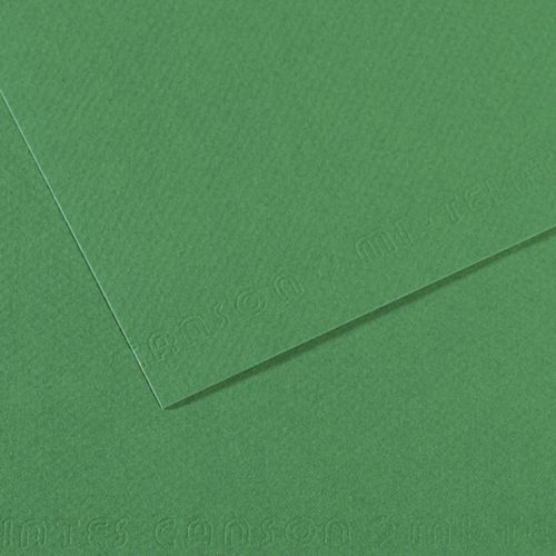 Canson Cardboard - 50x70, Dark Green, 711
