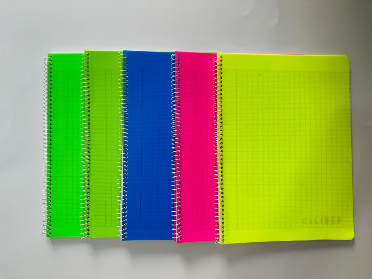 Tai-ga University Book - 60 grms, plastic cover