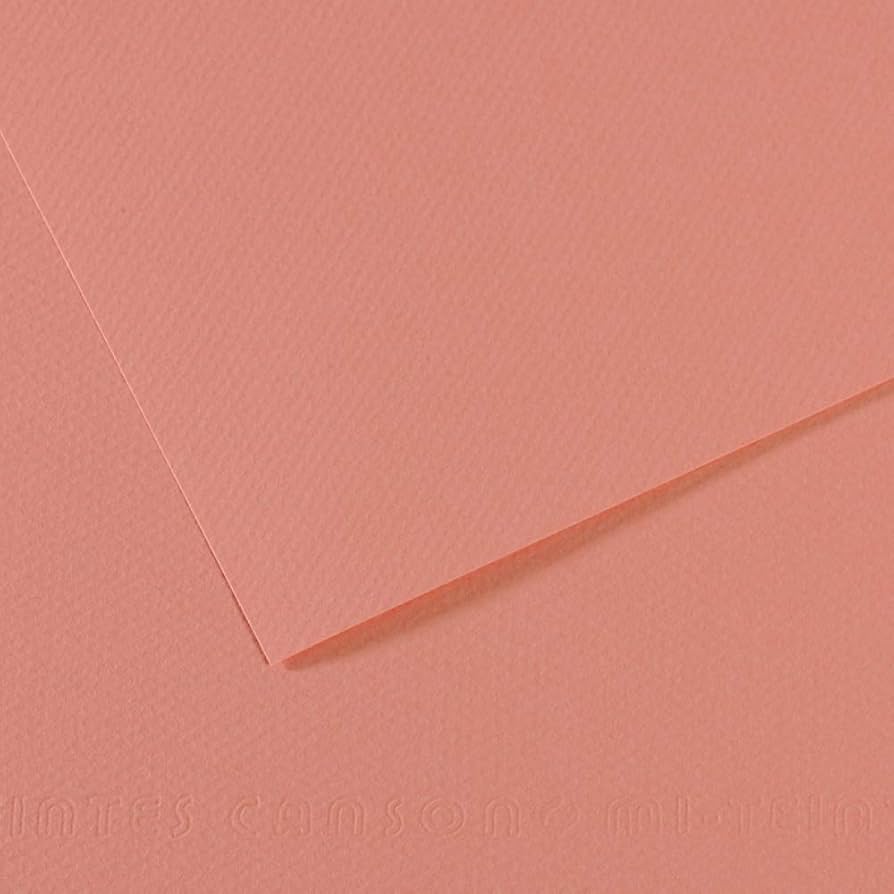 Canson Cardboard - 50x70, Pink, 723
