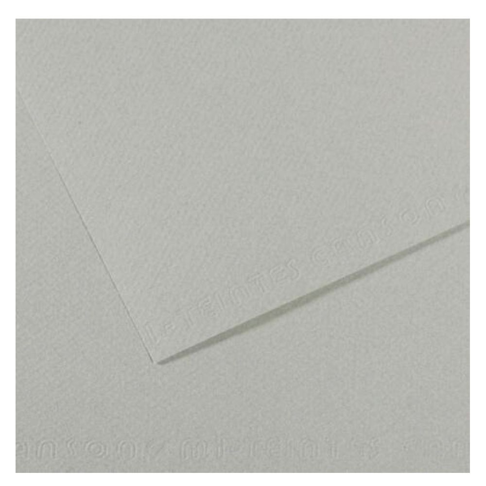 Canson Cardboard - 50x70, Light Grey, 702