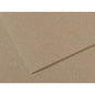 Canson Cardboard - 50x70, Camel, 703